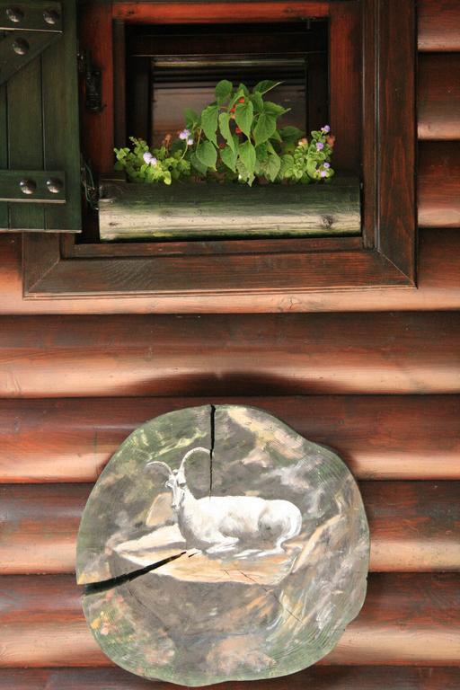 Durmitor Chalet Žabljak Pokoj fotografie
