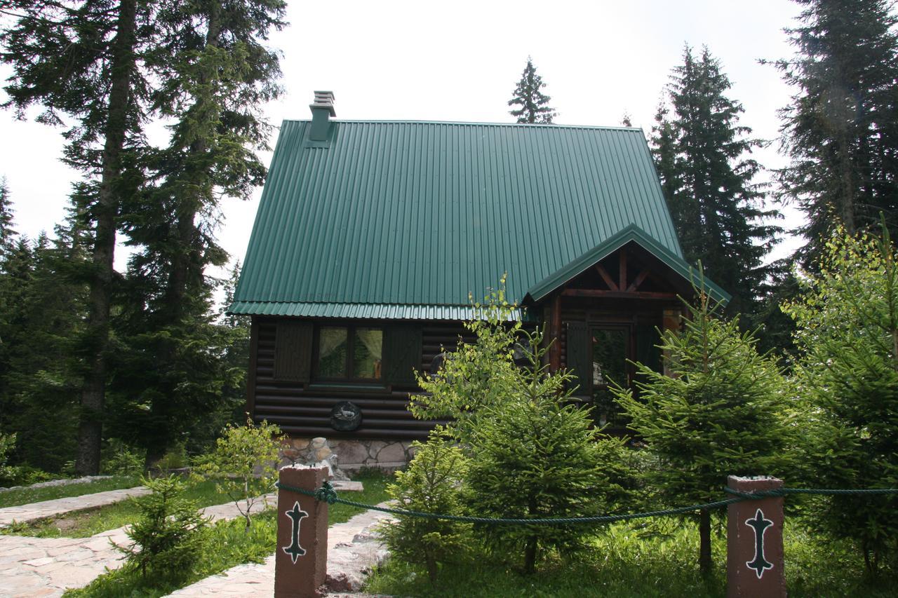 Durmitor Chalet Žabljak Exteriér fotografie