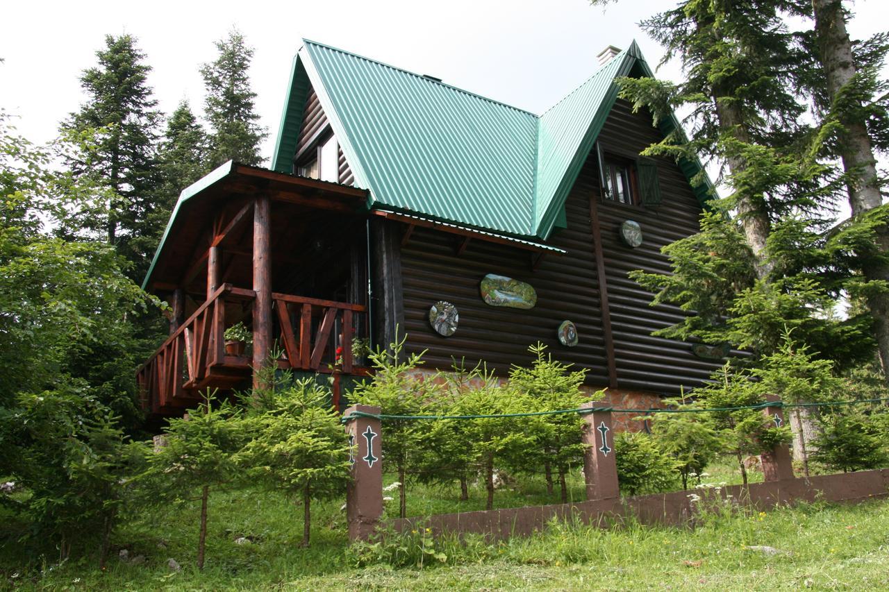 Durmitor Chalet Žabljak Exteriér fotografie