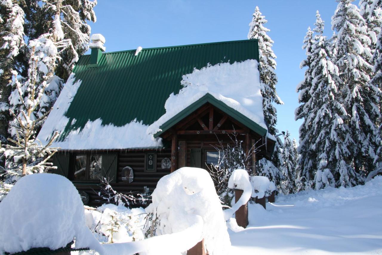 Durmitor Chalet Žabljak Exteriér fotografie